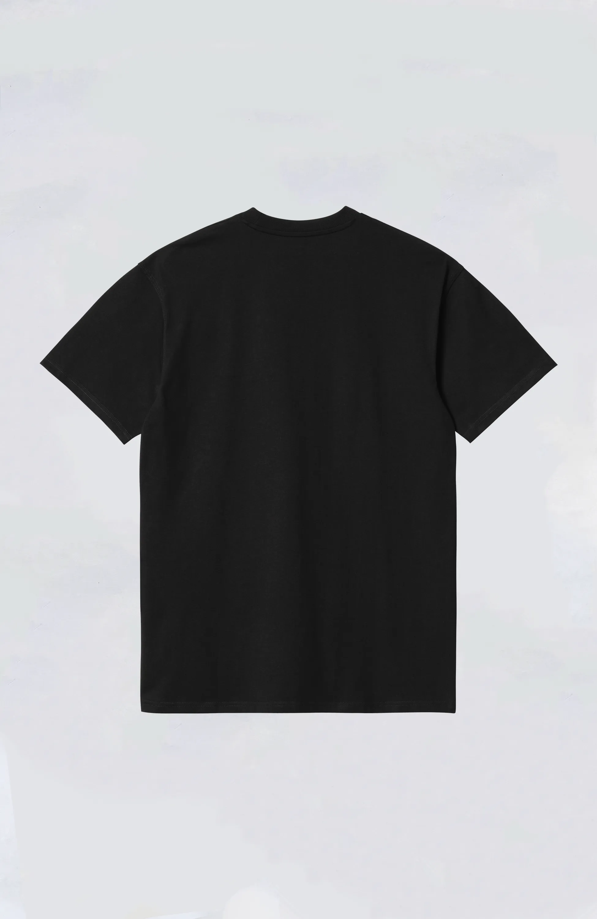 Carhartt WIP - American Script S/S Tee