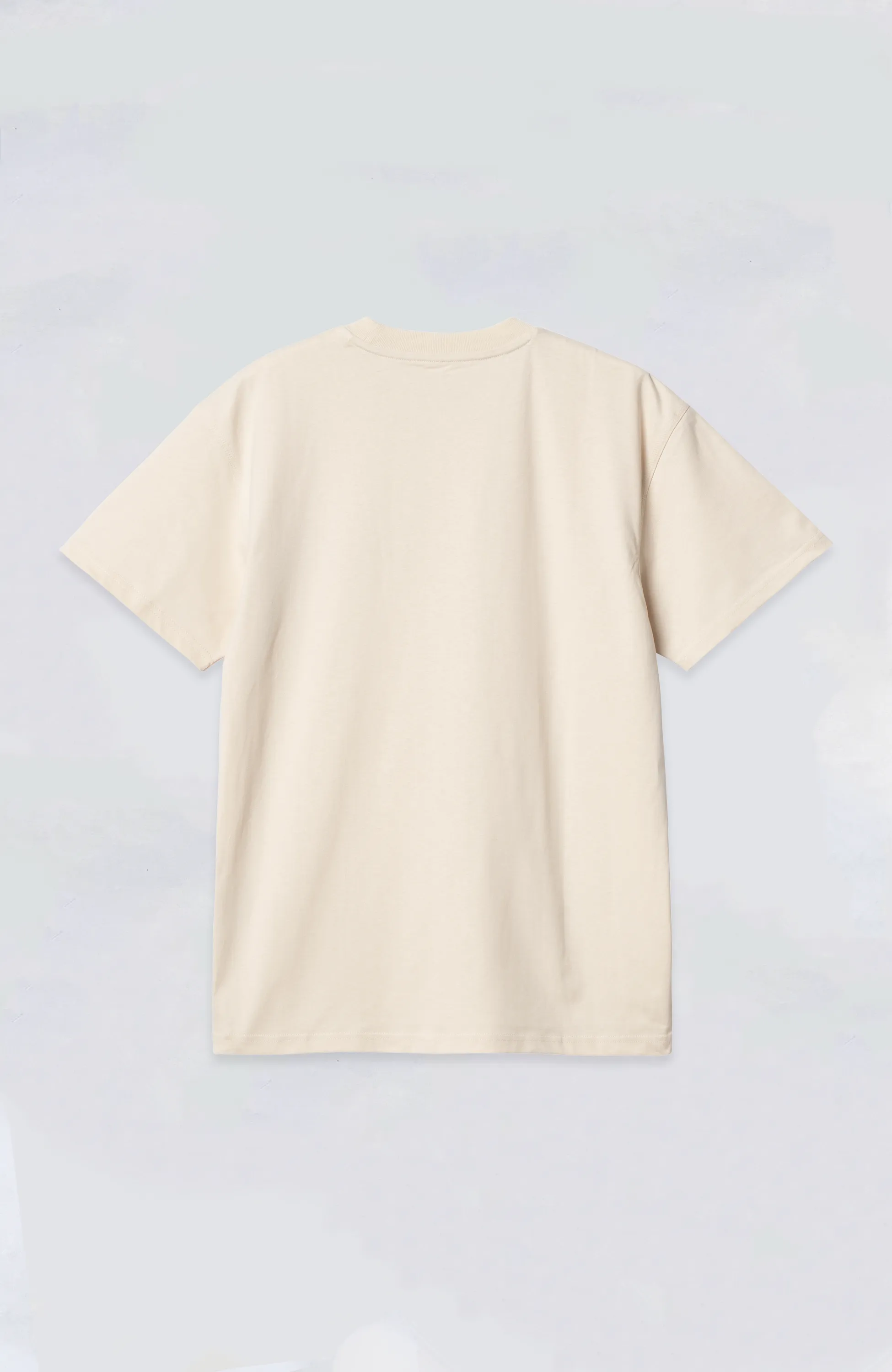 Carhartt WIP - American Script S/S Tee