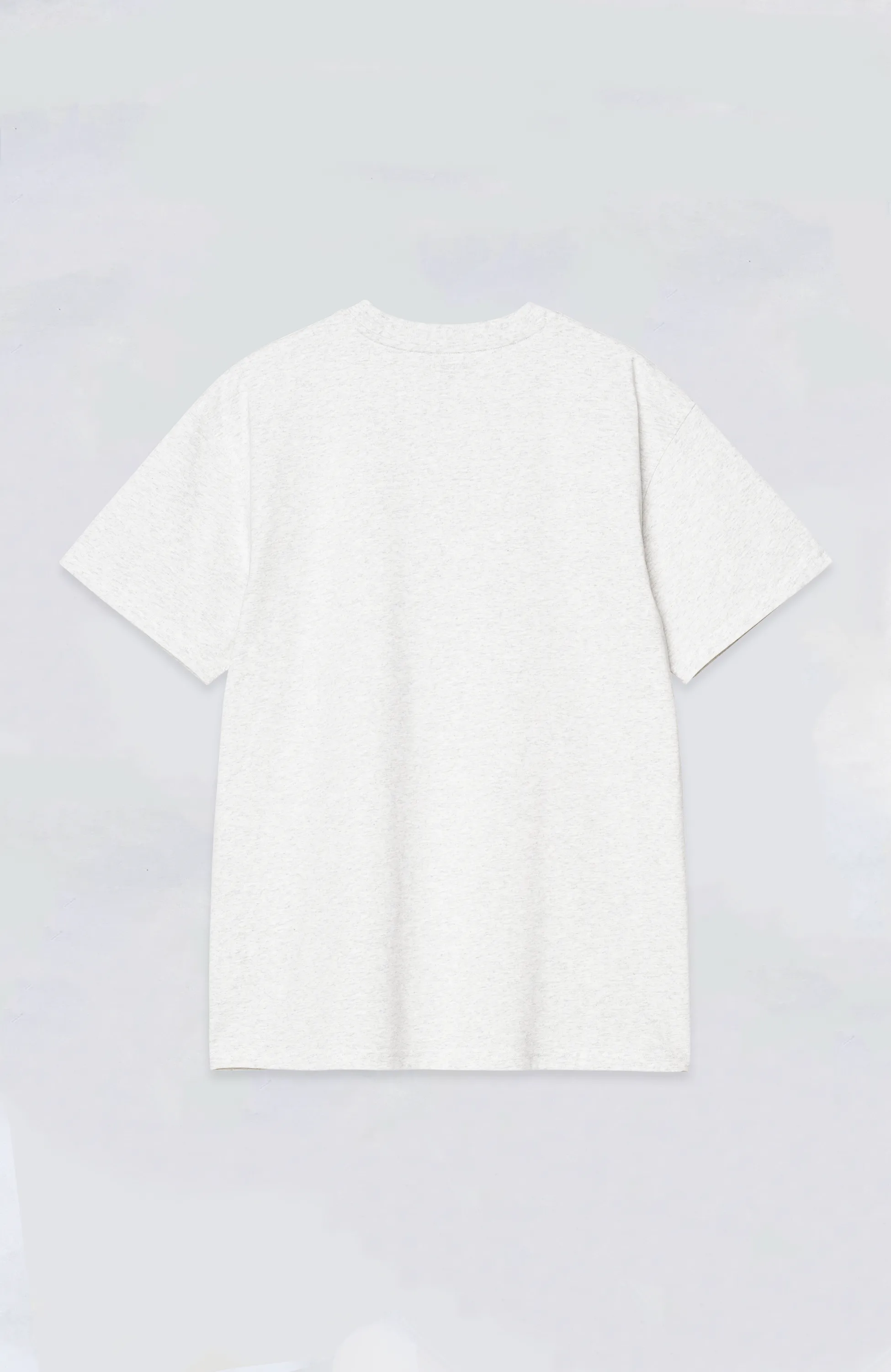 Carhartt WIP - American Script S/S Tee