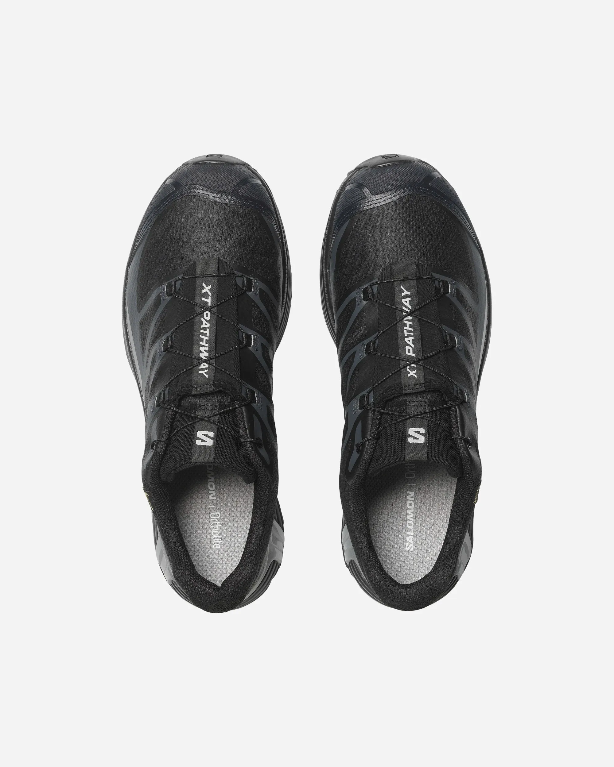 XT-Pathway GTX